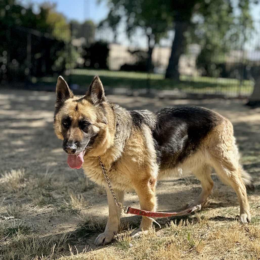 Willow005